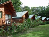 Dolphin Bay Resort & Peleliu Divers 3*