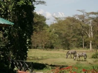 Mount Meru Game Lodge & Sanctuary 4*