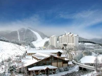 YongPyong Resort Greenpia Condominium 4*