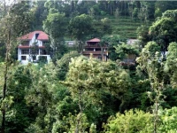 Planet Green Plantation Resort 3*