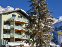 Hahnenblick