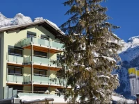 Hahnenblick 3*