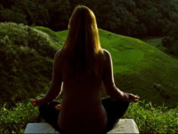 Gokarna Forest Resort 