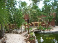 Jungle heart 