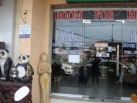 Panda Guesthouse 1*