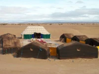 Bivouac Mhamid 