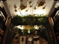Riad 41 