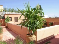 Riad Barroko 