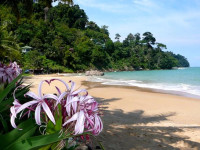 Khao Lak Palm Beach Resort