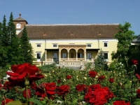 Schloss Weikersdorf 4*