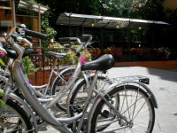 Astoria Hotel Bologna