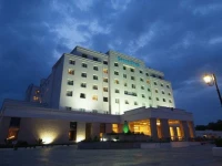 Green Park Chennai 4*