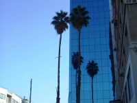 Blue Tower 4*