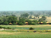 Selinda Camp
