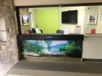Earnslaw Lodge 5*