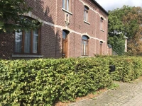 Het Bloesemklooster 