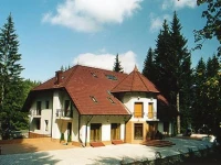 Vila Daria 4*