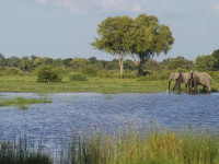 Vumbura Plains Camp