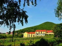 Wohlfuhlhotel Alte Rebschule 4*