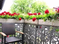 Am Blumenhaus 2*