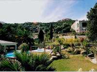 The Manor