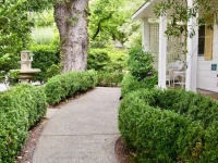Cottage Grove Inn 4*