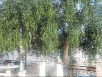 Agriturismo Al Nido Degli Aironi