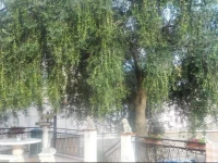 Agriturismo Al Nido Degli Aironi 1*