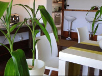 Cape Diem Lodge