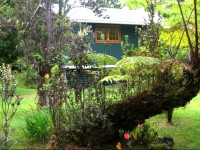 Haunani House
