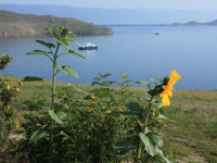 Weter stranstvii recreation camp