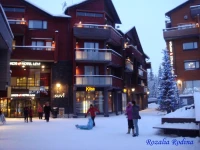 Sokos Hotel Levi 4*