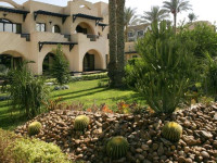 Oasis Cairo