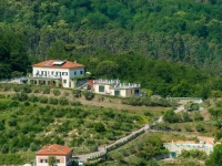 Gli Ulivi di Montalbano 