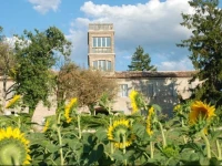 Il Pignocco Country House 