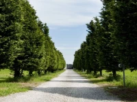 Il Giardino di Rebecca 