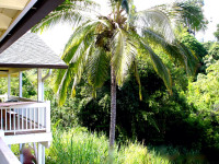 Bamboo Valley Inn