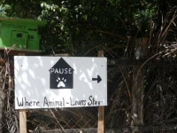 Pause Accomodation 