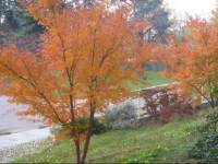 Ostello Di Rivoli 