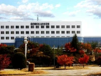 Benikea Chuncheon Bears Hotel  4*