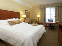 Hilton Garden Inn El Paso Airport