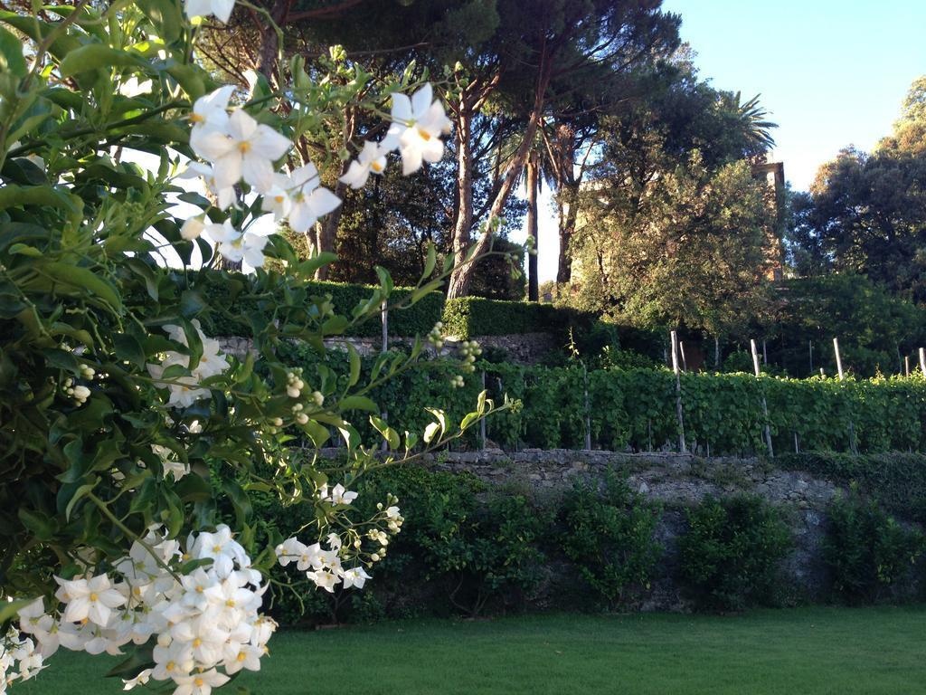 Villa Agnese 3*