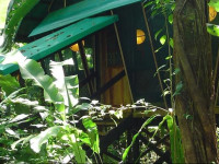 Almonds and Corals Lodge