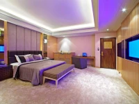 Young Motel 4*