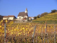 Gasthof-Pension Leopold Janu 3*