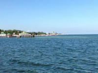 The Royal Palm Condominiums
