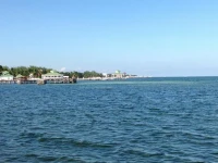 The Royal Palm Condominiums 