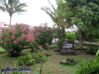 Manutara 3*