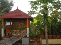 Carmel Homestay 3*