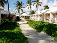 Emerald Palms